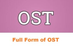 What is the full form of OST?
