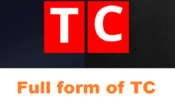 What is the full form of TC?